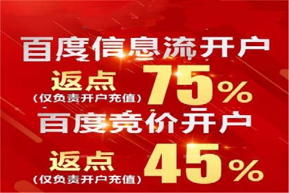 竞价代运营成功案例解析